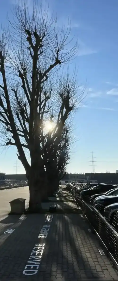 Trustpark Frankfurt - Valet - Außenparkplatz 3